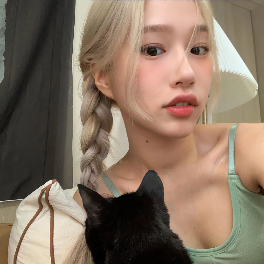怪猫杏子